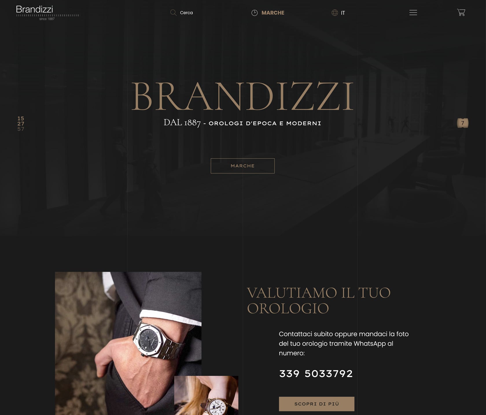 Brandizzi ecommerce home